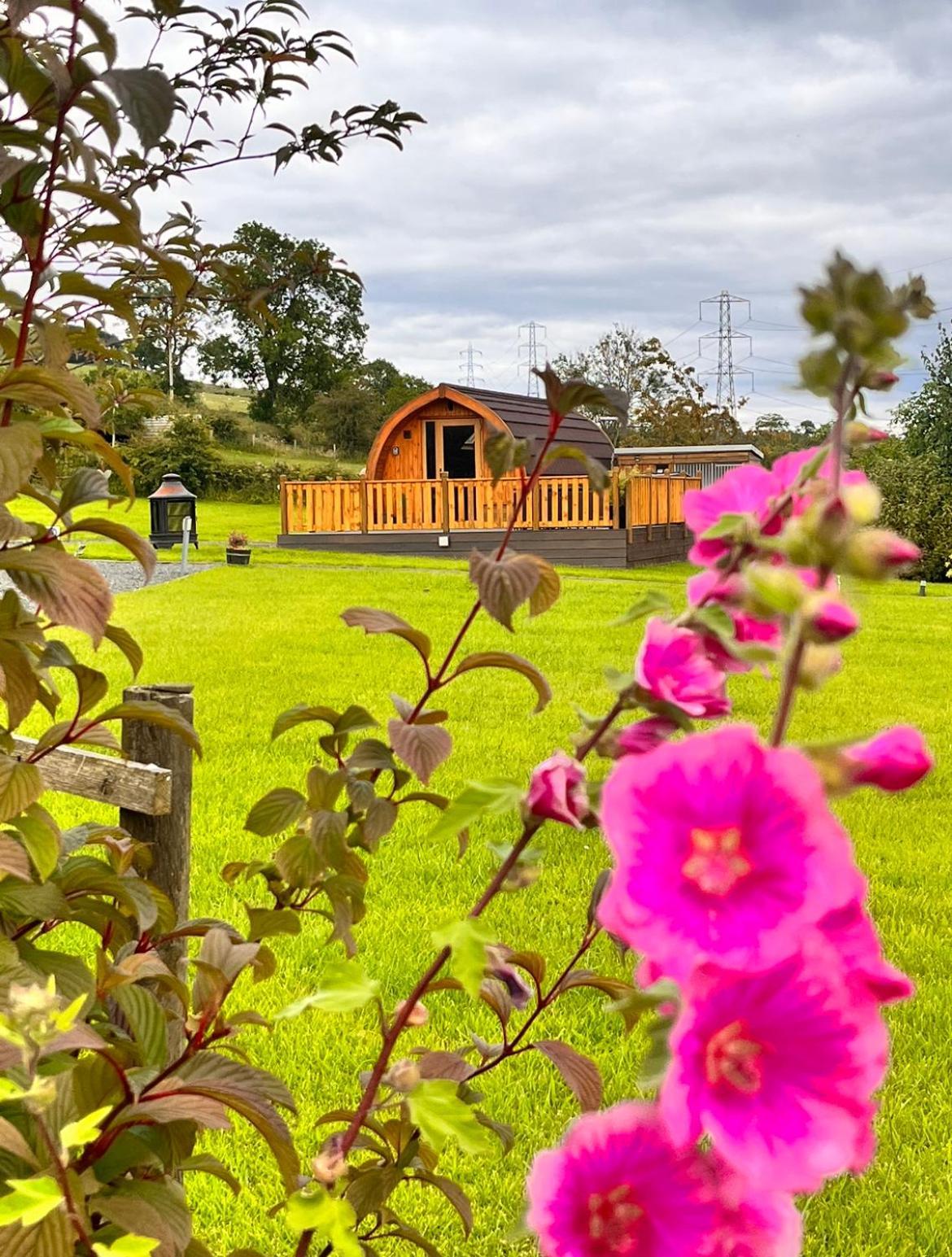 Cairnfold Cabins Kilsyth Buitenkant foto